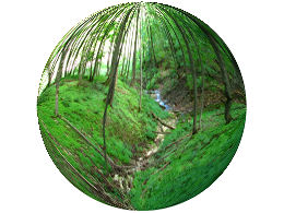 A scene from the beautiful Blue Mountains section of the Bruce Trail.