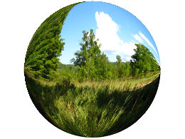 A scene from the beautiful Beaver Valley section of the Bruce Trail.