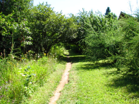 A scene from the beautiful Blue Mountains section of the Bruce Trail. Photo taken by Jim Safianuk while on a hike.