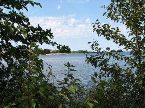 A scene in Heritage Park of the Collingwood harbour close to the shore.