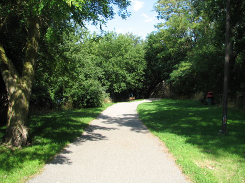 A trail scene in Heritage Park near the harbourfront in downtown Collingwood.