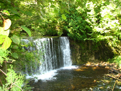 A scene from the beautiful Beaver Valley section of the Bruce Trail at Hoggs Falls.