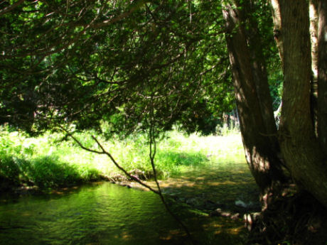 This is the program index page for the nutrition-only programs. The photo was taken by Jim Safianuk near Hoggs Falls in the beautiful Beaver Valley section of the Bruce Trail.