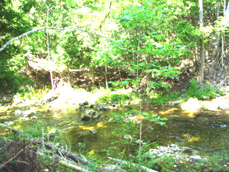 A scene from the beautiful Beaver Valley section of the Bruce Trail. Photo taken by Jim Safianuk. Hiking in nature is excellent for building leg strength and shaping your buttocks!