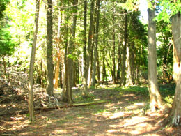 You can click this small image to view a rotating series of scenic photos taken on the Bruce Trail.