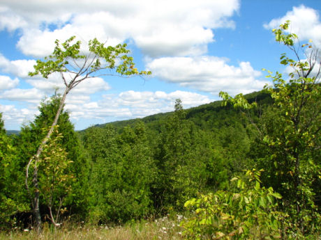 A scene from the beautiful Beaver Valley section of the Bruce Trail.