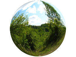 A scene from the beautiful Beaver Valley section of the Bruce Trail.