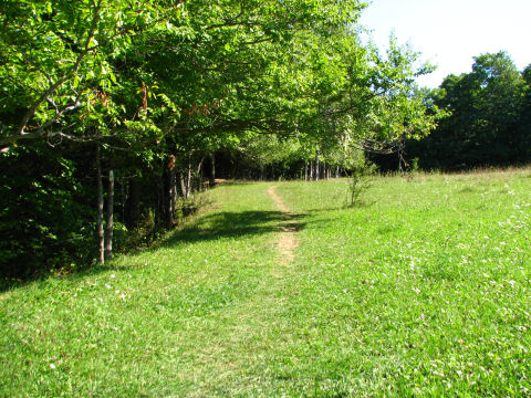 A scene from the beautiful Kolapore Uplands section of the Bruce Trail. The photo was taken by Jim Safianuk while on a hike on the Kolapore loop.